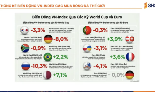 Chuyên gia: Xu hướng ngắn hạn VN-Index vẫn giảm, chỉ khoảng 18% cổ phiếu có khả năng tăng giá 