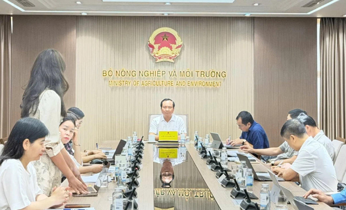 Thứ trưởng Võ Văn Hưng chủ trì cuộc họp.