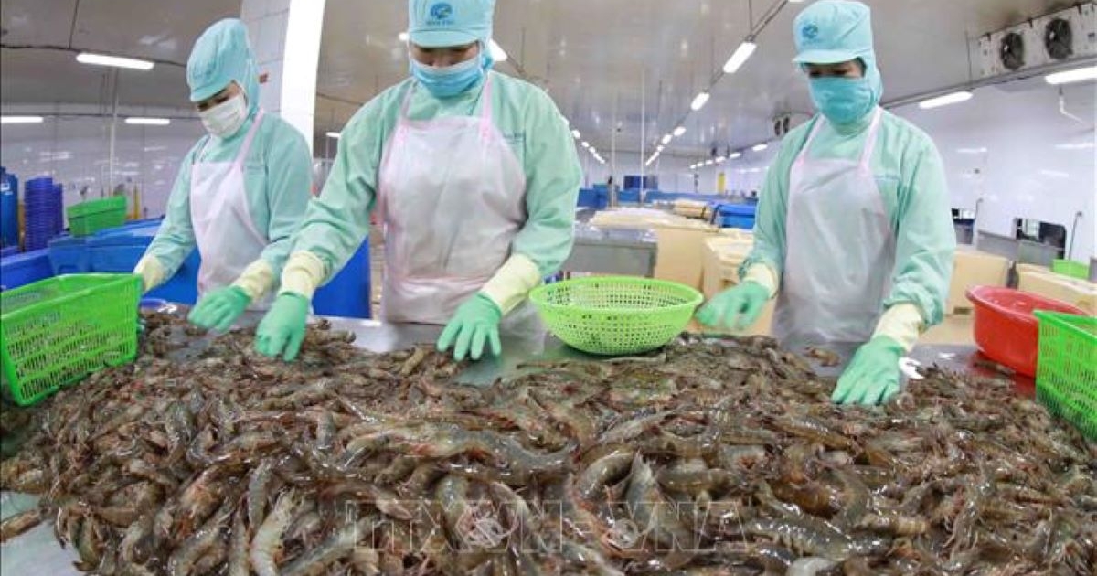 Xuất khẩu t&ocirc;m v&agrave; c&aacute; tra tăng trưởng hai con số...