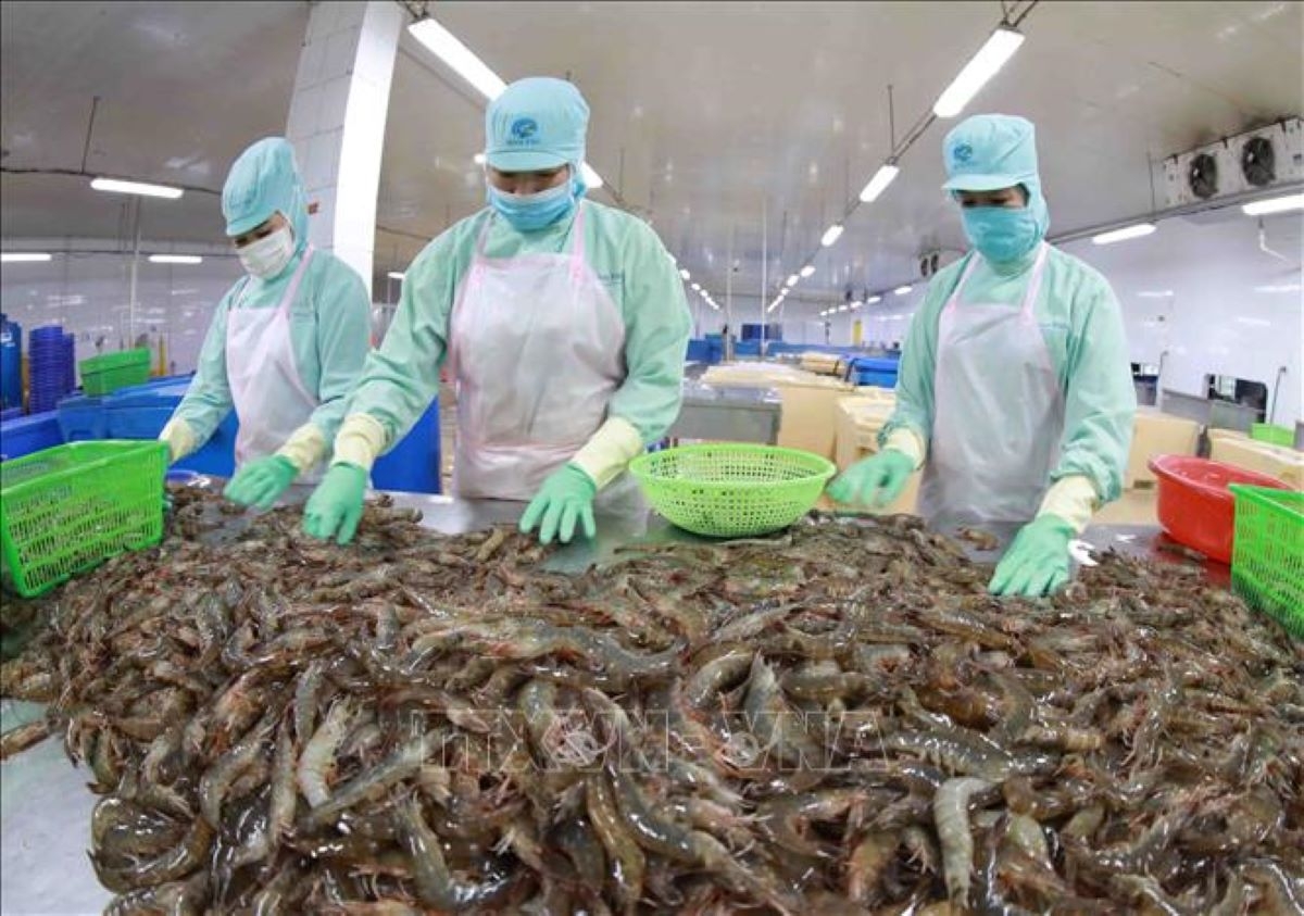 Xuất khẩu tôm đem về  1,9 tỷ USD trong 5 tháng đầu năm.