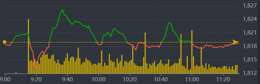Diễn biến VN-Index sáng nay.