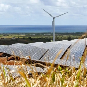 Các tua-bin gió và tấm pin mặt trời trên đảo Oahu đang hỗ trợ quá trình chuyển đổi nền kinh tế phụ thuộc vào dầu mỏ của Hawaii. Ảnh: Caleb Jones/AP Photo/picture alliance
