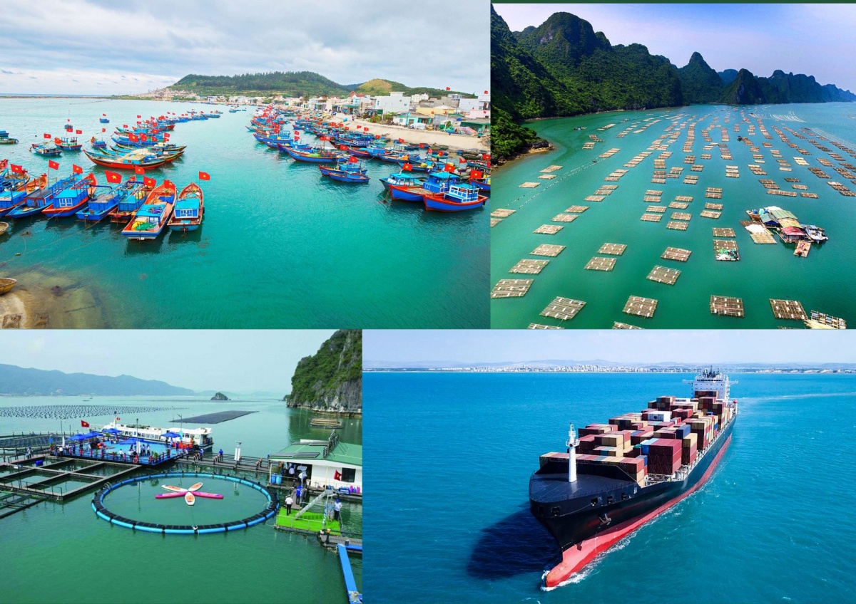 Tạo hành lang pháp lý cho các lĩnh vực kinh tế biển mới như điện gió ngoài khơi, nuôi trồng thủy sản biển, khai thác tài nguyên biển sâu và phát triển du lịch biển. Ảnh minh họa