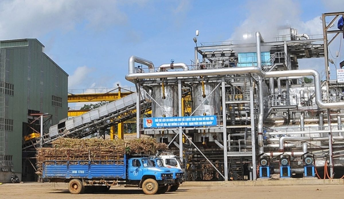 Điện từ bã mía hiện chiếm tỷ trọng 95% tổng công suất điện sinh khối tại Việt Nam.