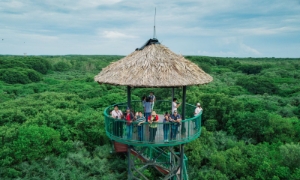 TP.HCM tìm cách “giữ chân” du khách ở Cần Giờ