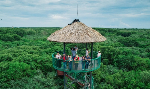 TP.HCM tìm cách “giữ chân” du khách ở Cần Giờ