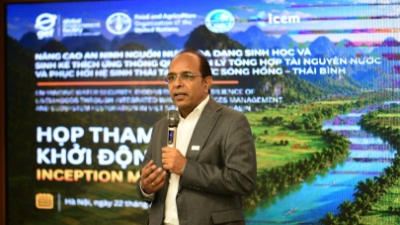 FAO Representative: Nature is the "quiet infrastructure" of Vietnam's climate resilience