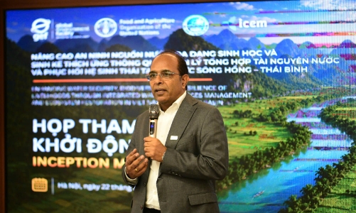 FAO Representative: Nature is the 