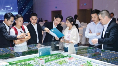 Expectations from a proposed housing development strategy  
