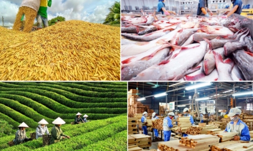 Vietnam’s agro-forestry-aquatic production posts solid growth despite challenges