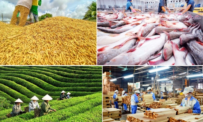 Vietnam’s agro-forestry-aquatic production posts solid growth despite challenges