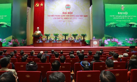 Khẳng định vai trò chủ thể của nông dân trong kỷ nguyên số, phát triển xanh