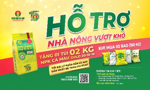 Từ những túi NPK Cà mau trao tay đến niềm tin được lan tỏa