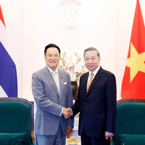Tổng Bí thư, Chủ tịch nước Tô Lâm tiếp Thủ tướng Thái Lan Anutin Charnvirakul - Ảnh: TTXVN