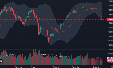 Vn-Index hồi quá yếu phiên này và vẫn chưa giành lại được mốc tâm lý 1800 điểm.
