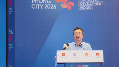 Strategic choice of development model