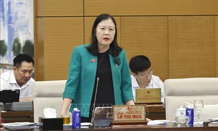 Báo cáo công tác dân nguyện: Kiến nghị tăng cường kiểm tra chất lượng xăng sinh học E10