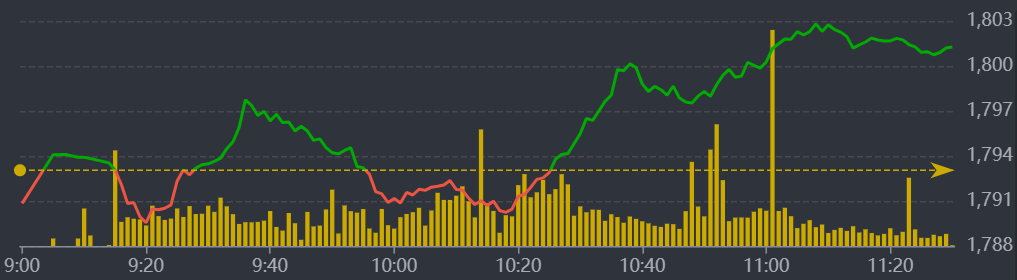 Diễn biến VN-Index sáng nay.