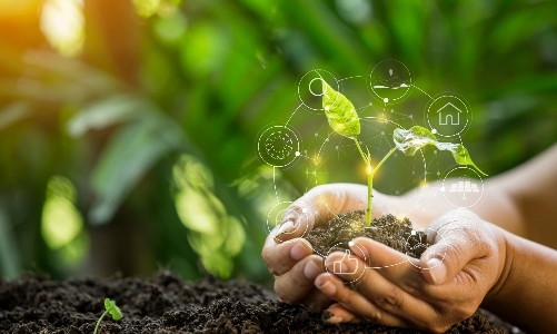 Chuyển đổi xanh của SMEs: Từ áp lực đến hợp lực cùng đối tác