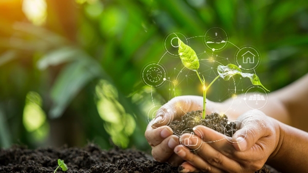 Chuyển đổi xanh của SMEs: Từ áp lực đến hợp lực cùng đối tác