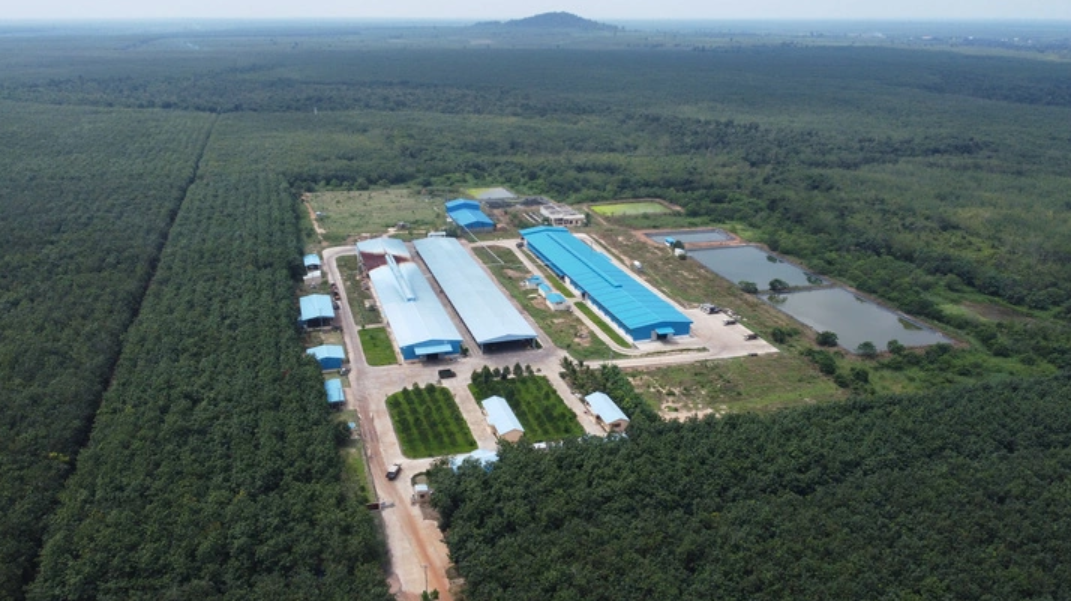 Một nhà máy chế biến mủ cao su của VRG đầu tư tại Campuchia.