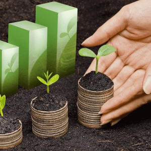 Tín dụng xanh được xác định là một trong những giải pháp trọng tâm nhằm đáp ứng nhu cầu vốn cho quá trình chuyển đổi xanh của nền kinh tế. Ảnh minh họa