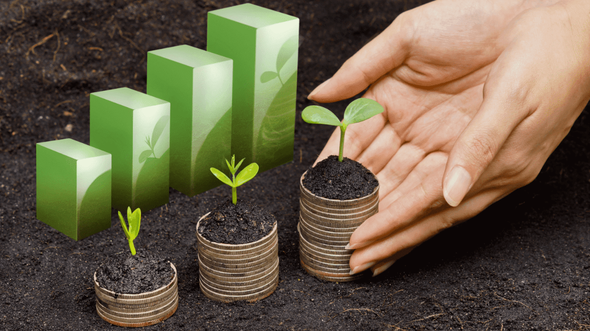 Tín dụng xanh được xác định là một trong những giải pháp trọng tâm nhằm đáp ứng nhu cầu vốn cho quá trình chuyển đổi xanh của nền kinh tế. Ảnh minh họa
