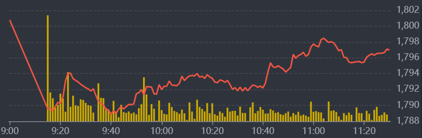 Diễn biến VN-Index sáng nay.