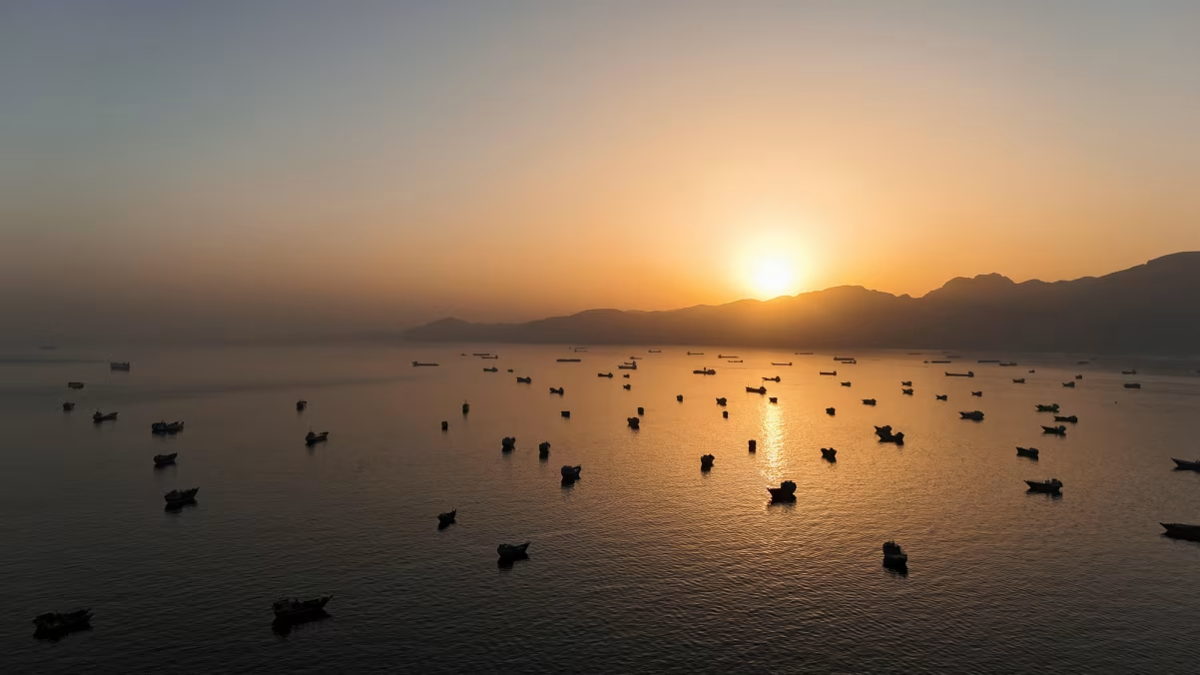 Các tàu neo đậu tại eo biển Hormuz, nhìn từ Musandam, Oman, ngày 3/6/2026 - Ảnh: Reuters