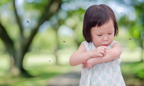 Người dân chủ động tiêm vaccine khi dịch sốt xuất huyết diễn biến khó lường