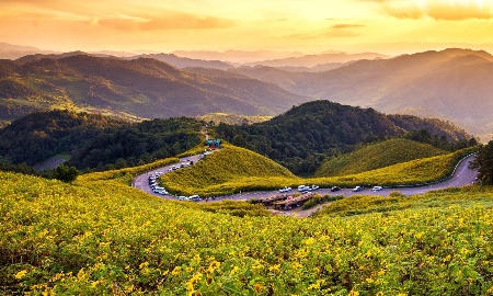 93% du khách Việt yêu thích du lịch tự lái xe