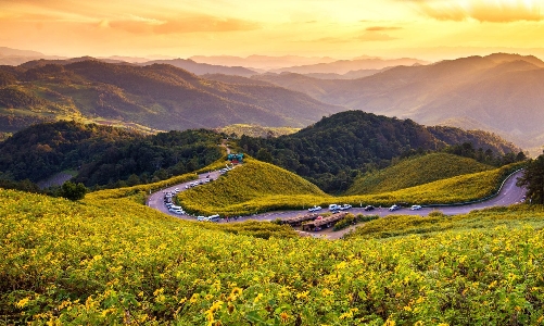 93% du khách Việt yêu thích du lịch tự lái xe