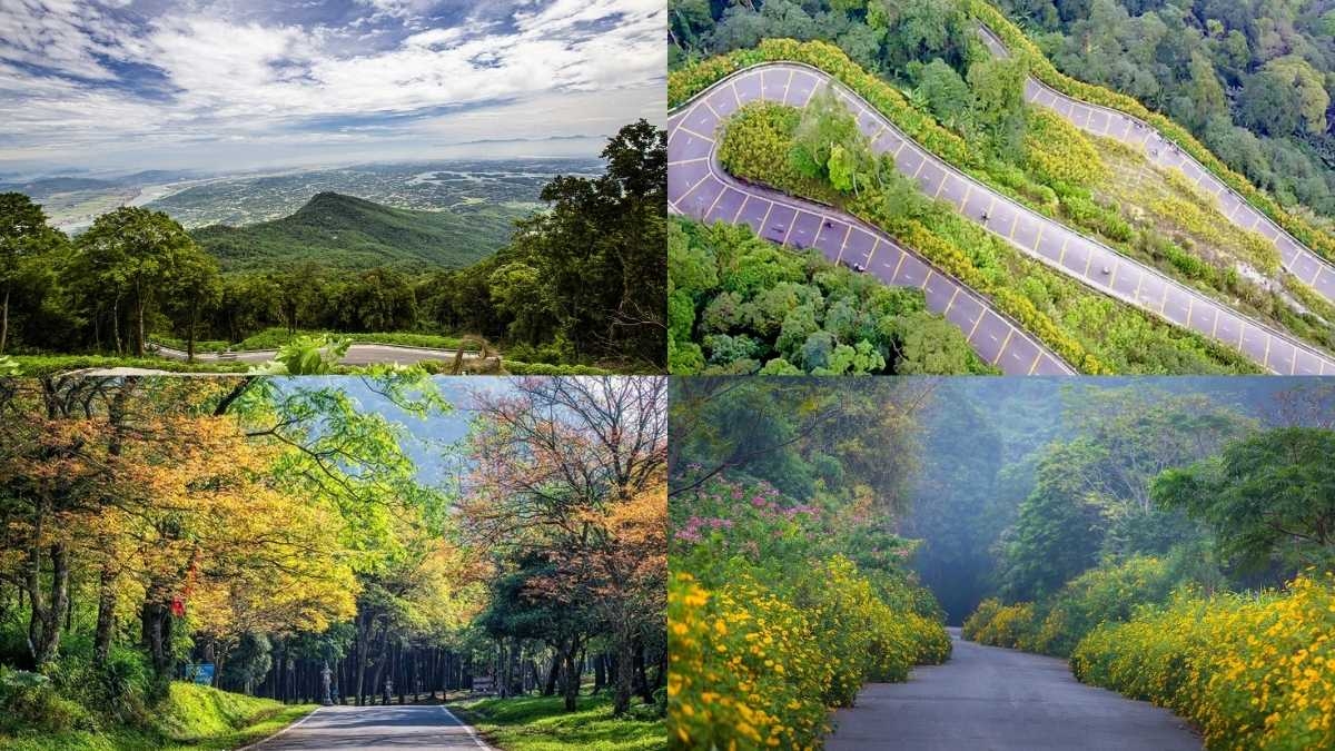 Vườn Quốc gia Ba Vì là một trong những khu rừng đặc dụng quan trọng ở khu vực phía Bắc, có giá trị lớn về đa dạng sinh học, cảnh quan, môi trường và văn hóa- lịch sử. Ảnh minh họa
