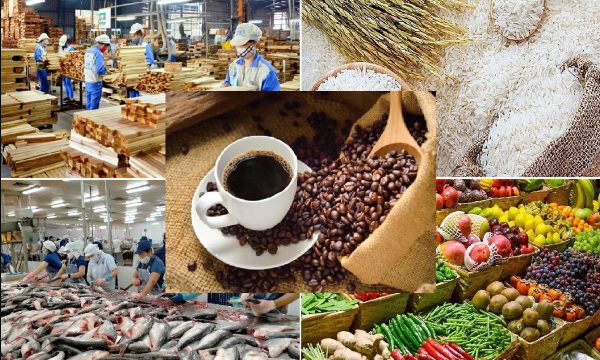 Nhập khẩu nông lâm thủy sản 5 tháng đầu năm đạt hơn 22 tỷ USD, tăng 12,6%