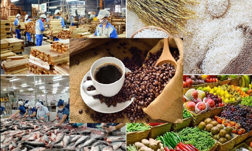 Nhập khẩu nông lâm thủy sản 5 tháng đầu năm đạt hơn 22 tỷ USD, tăng 12,6%