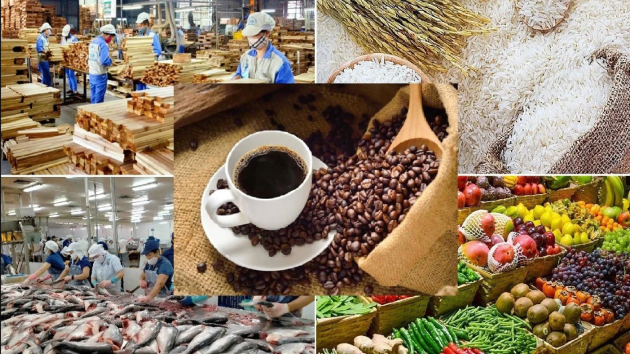 Agro-forestry-fishery imports top $22 bln in first five months, up 12.6%
