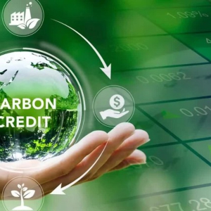 Nhu cầu trao đổi tín chỉ carbon quốc tế đang gia tăng mạnh mẽ, không chỉ từ phía các quốc gia có nghĩa vụ giảm phát thải mà còn từ chính cộng đồng doanh nghiệp trong nước. Ảnh minh họa