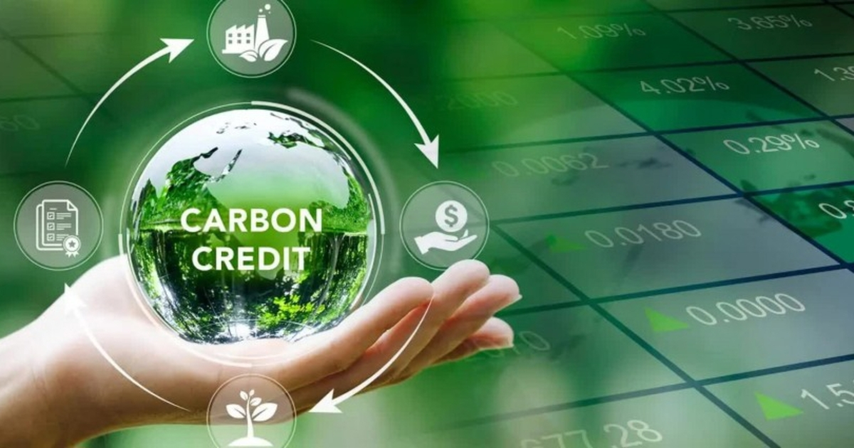 Nhu cầu trao đổi tín chỉ carbon quốc tế đang gia tăng mạnh mẽ, không chỉ từ phía các quốc gia có nghĩa vụ giảm phát thải mà còn từ chính cộng đồng doanh nghiệp trong nước. Ảnh minh họa