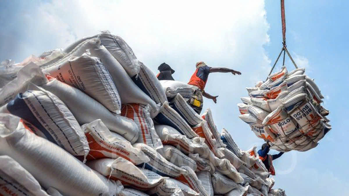 Các địa phương cần chủ động hơn để xuất khẩu gạo không bị gián đoạn. Ảnh minh họa.