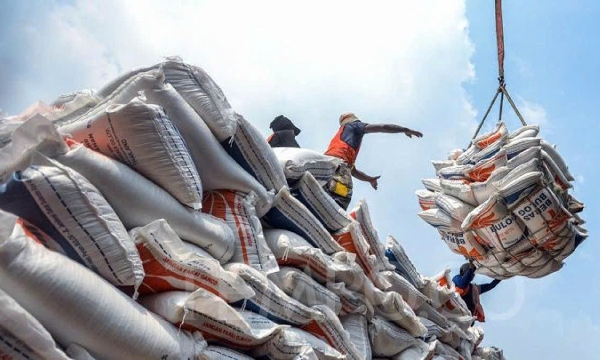 Địa phương sẽ trực tiếp cấp chứng nhận gạo thơm xuất khẩu từ 1/7/2026