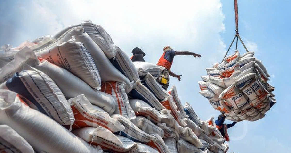 Địa phương sẽ trực tiếp cấp chứng nhận gạo thơm xuất...