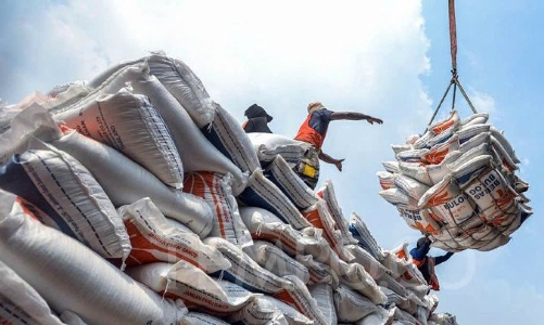 Địa phương sẽ trực tiếp cấp chứng nhận gạo thơm xuất khẩu từ 1/7/2026