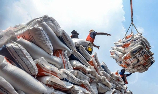 Các địa phương cần chủ động hơn để xuất khẩu gạo không bị gián đoạn. Ảnh minh họa.