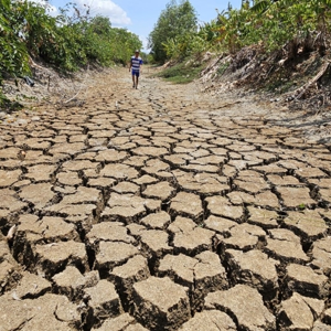 El Niño làm gia tăng nguy cơ nắng nóng, hạn hán, thiếu nước và xâm nhập mặn...Ảnh minh họa