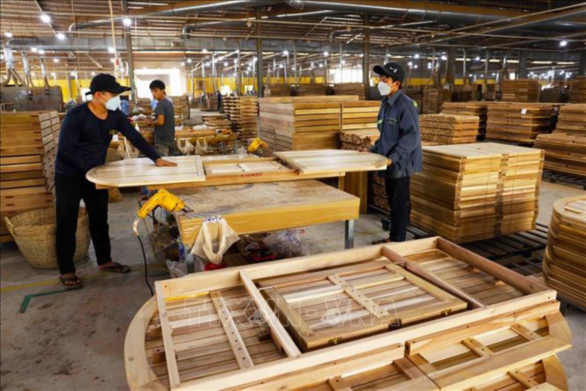 Ngành gỗ cần phải nâng cao năng lực thích ứng trước các biến động chính sách và thương mại quốc tế. Ảnh minh họa.