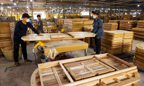 Xuất khẩu duy trì tăng trưởng, nhưng ngành gỗ vẫn đối mặt với áp lực kép