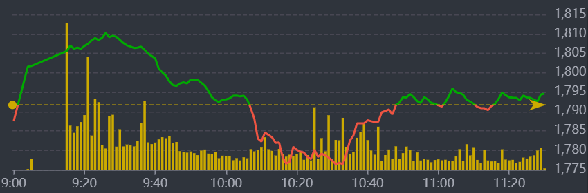 Diễn biến VN-Index sáng nay.