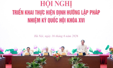 Pháp luật phải đi trước, tạo thuận lợi cho đổi mới sáng tạo, đầu tư, sản xuất, kinh doanh