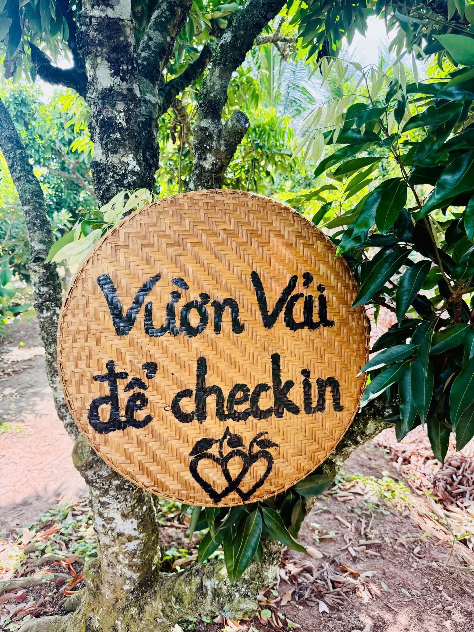 Sự kết nối giữa mùa vải chín, nghệ thuật dân gian, du lịch đường thủy, ẩm thực địa phương và hệ thống di tích xứ Đông sẽ tạo nên chuỗi trải nghiệm đa dạng, phù hợp với khách gia đình.