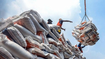 Local authorities to directly issue fragrant rice export certificates from July 2026